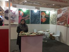 参加2017伊朗国际食品及饮料博览会