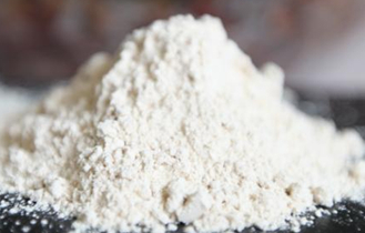 Rice Protein